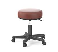 FXLUHAY Sgabello Master Saddle con seduta in acciaio inossidabile argentato, altezza 45~58 cm, peso supportato 160 kg, sgabello rotondo for scrivania di ufficio di centri medici(D)