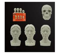 FXNFXLA 4Pack Standard Planar Head, Modelli di Testa di artisti generici Set di manichini, Testa di manichino per Disegno Medico e Artistico Schizzi Pittura