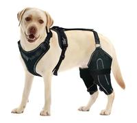 FXNFXLA Tutore per Ginocchio del Cane per Legamento Crociato Anteriore Strappato, Tutore per Zampa Posteriore del Cane per Sostenere La Lussazione della Rotula, Lesione del Legamento Crociato