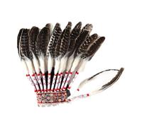 Fxzqgnh Cappello indiano con piume, ideale per travestimenti e balli.