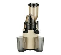 Fxzqgnh Estrattore di Succo a Freddo senza BPA Estrattore Verticale Professionale Spremiagrumi per Cucina, Bianco Latte, Tipo Aggiornato, 600 Torsione, Grande Calibro, Rete Singola