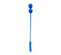 Fxzqgnh Tennis Training Master Attrezzo Swing Servizio Pratica Silicone Flessibile Portatile Leggera Facile da Gestire Adatto a Allenamento Famiglia Regalo, 2 Palline