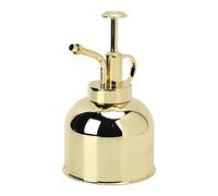 Fydun Elegante Bottiglia Spray a Pressione Manuale in Acciaio per l'irrigazione delle Piante, Ideale per il Giardinaggio Interno Ed Esterno e la Cura delle Piante