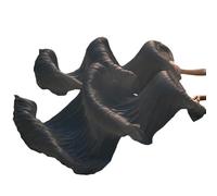 Fymlok Fan Veils Danza del Ventre Ventagli di Danza Seta Imitazione 1 Pezzo/Paio 10 Colori Veli Seta Tinta Unita del Ventre 180 * 90 cm(02,120x90cm 1 Pair)