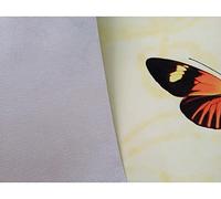 Fymlok Rotolo Tela per Dipingere 17 "* 1M 24" * 1 m Rotolo di 220gsm Rotolo Tela in Poliestere Opaco for Stampante a Getto d'inchiostro(24in x 1m Sample)