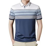 FYMLP Mens Lightweight Comfort Vacation Polo Shirt Summer Striped Turn Down Collar Short Sleeve Golf Top(Blue,4XL)