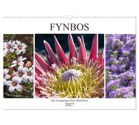 Fynbos - Die einzigartige Flora Südafrikas (Wandkalender 2027 DIN A3 quer), CALV