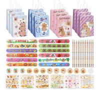 FYSL Capybara, regalo per feste di compleanno per bambini, sacchetti regalo di compleanno per bambini, con penne, spilla, braccialetto, adesivi, quattro modelli