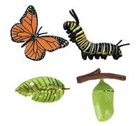 FytStycale 4 Pezzi Modello Fasi Animali Set Azione in Plastica Resistente per Esercizi Didattici Progetti Manuali Laboratori Scolastici Regalo