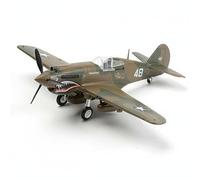 FytStycale Caccia P-40 Flying Panthers senza Colla Modello P-40 Della Seconda Conflitto Mondiale Aereo in 1/48 per Modellisti, Flying Tigers Panda