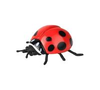 FytStycale Insetti Finti Realistici Educativo Insetto Giocattolo Realistico Materiale Durevole Set di Insetti in Plastica per Bambini, Collezionisti, Halloween, Coccinella Rossa M