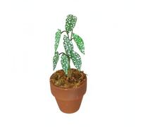 FytStycale Mini Pianta in Miniatura Vaso in Argilla Accessorio Casa delle Bambole Ornamento Vegetale Polka DOT Foglie Realistiche in Betulla E Compensato Adatta, Verde
