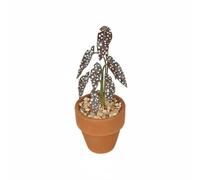 FytStycale Mini Pianta in Miniatura Vaso in Argilla Accessorio Casa delle Bambole Ornamento Vegetale Polka DOT Foglie Realistiche in Betulla E Compensato Adatta, Marrone