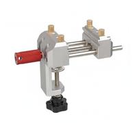 FytStycale Morsa da Tavolo Mini Multifunzione Mini Morsa Tavolo Presa Stabile Attrezzo Manuale, Argento