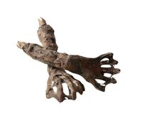 FytStycale Prop Scheletro Superficie Ruvida Teschio Decorativo Stile Casa Stregata Teschio e Struttura Ossea Decorativi per Esposizione, Mani Di Cadavere