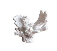 FytStycale Scultura con Base Integrata | Costiero, Corallo Artificiale Decorativo, Senza Allergeni, Ornamento da Scrivania a Forma di Corallo, per Libreria, Consolle, Bianco