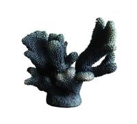 FytStycale Scultura con Base Integrata | Costiero, Corallo Artificiale Decorativo, Senza Allergeni, Ornamento da Scrivania a Forma di Corallo, per Libreria, Consolle,