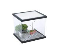 Fzaqwen Vetrina con Paesaggio Miniatura