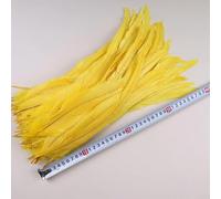 FZBANG 50 Pezzi 35-40 cm Piume di Coda di Gallo per Artigianato Accessori di Carnevale Piume Lunghe Naturali Decorazione di Pollo Copricapo di Piume