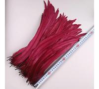 FZBANG 50 Pezzi 35-40 cm Piume di Coda di Gallo per Artigianato Accessori di Carnevale Piume Lunghe Naturali Decorazione di Pollo Copricapo di Piume