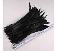 FZBANG 50 Pezzi 35-40 cm Piume di Coda di Gallo per Artigianato Accessori di Carnevale Piume Lunghe Naturali Decorazione di Pollo Copricapo di Piume