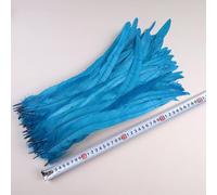 FZBANG 50 Pezzi 35-40 cm Piume di Coda di Gallo per Artigianato Accessori di Carnevale Piume Lunghe Naturali Decorazione di Pollo Copricapo di Piume