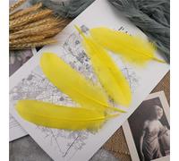 FZBANG Piume D'Oca dure da 15-20 cm, Piume di Cigno Naturali, Accessori Artigianali, acchiappasogni Colorati, Decorazioni in Piume