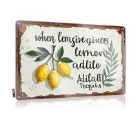 FZFN Targa in metallo retrò con scritta "Fresh Lemons and Tequila: A Refreshing Blend Of Nature's Delight", cartello in metallo decorativo per esterni (20 x 30 cm)