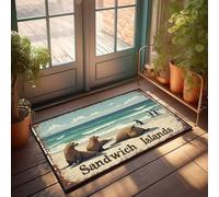 FZFN Zerbino decorativo per esterni con pinguini e foche che si rilassano sulla spiaggia nelle isole sandwich, zerbino decorativo per esterni e portico per ingresso interno (65 x 90 cm)
