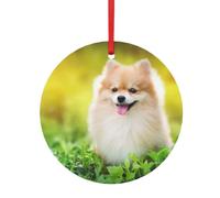 FZGGWYHL Simpatico cucciolo di cane in primavera parco stampato alluminio rotondo pendente decorazione di Natale appeso