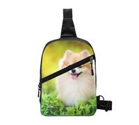 FZGGWYHL Simpatico cucciolo di cane in Spring Park stampato petto pacchetto diagonalmente borsa a tracolla