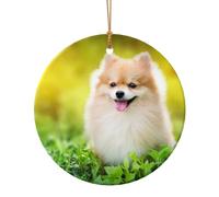 FZGGWYHL Simpatico cucciolo di cane nel parco primaverile stampato ciondolo rotondo in ceramica da appendere all'albero di Natale