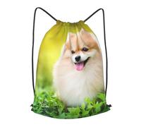 FZGGWYHL Zaino casual con simpatico cucciolo di cane in Spring Park stampato con coulisse, Nero , S