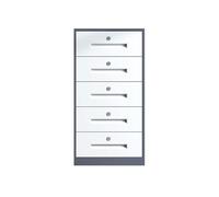 FZL02068LM Cartella Cassettiera domestica in acciaio for ufficio con capacità maggiorata, armadio multifunzionale for file, dati, armadio da ufficio Cartelle di file(Grijs)