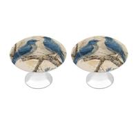 FZMTLDS Bluebird on The Branch - Confezione da 2 pomelli rotondi per cassetti da cucina, in acciaio inox, per cassetti e armadietti