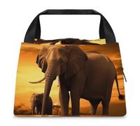 FZMTLDS Borsa per il pranzo con elefante, borsa termica per il pranzo, grande capacità, borsa termica per il pranzo