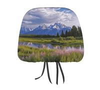 FZMTLDS Grand Teton National Park - Copri poggiatesta per auto, antipolvere, motivo vintage con simpatico poggiatesta per auto, furgoni, camion