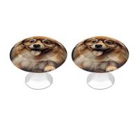 FZMTLDS Pomeranian Dog Wear Glasses Cabinet Knobs 2 Pack Round Kitchen Drawer Pull Cute Pattern Dresser Knobs Stainless Steel Drawer Handle Cabinet Hardware Maniglie per Armadietto