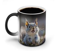 FZMVSQH Divertente tazza da caffè magica con scoiattolo carino tazza personalizzata cambia colore tazza sensibile al calore che cambia tazze da caffè con manico, 325 ml, divertente tazza in ceramica