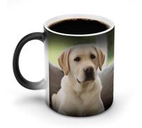 FZMVSQH Simpatico cane labrador tazza da caffè tazza personalizzata cambia colore tazza sensibile al calore cambiando tazze da caffè con manico 325 ml tazza divertente in ceramica per tè/latte/latte