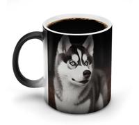 FZMVSQH Tazza da caffè magica con cane husky, tazza da caffè personalizzata, cambia colore, sensibile al calore, con manico, 325 ml, divertente tazza in ceramica per tè/latte/latte/cacao