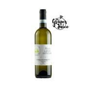 G. B. BURLOTTO VIRIDIS LANGHE SAUVIGNON 2023 VINO BIANCO DOC PIEMONTE
