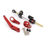G Compatibile Con CBR954RR 2002 2003 Per CBR929RR Per CBR900RR 2000 2001 Kit Staffa Ammortizzatore Stabilizzatore Sterzo Moto Parti Montaggio Regolabile(Silver-Red)