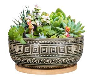 G EPGardening Vaso per piante grasse in ceramica, 20,5 cm, per piante d'appartamento, rotondo, poco profondo, bonsai, con drenaggio e piattino in bambù, colore: blu