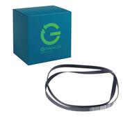 G GRIMALDI Cinghia Compatibile con Candy Hoover 40012518