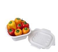 G.M. DISTRIBUZIONE 125 Vaschetta in Polpa di Cellulosa con Coperchio da 350ml, Ideale per Cibi Caldi e Freddi, Vaschetta con Elevata Resistenza Termica, Biodegradabil e Compostabile