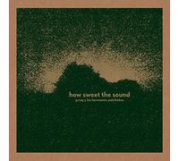 G.Rag y los Hermanos Patc - How Sweet the Sound