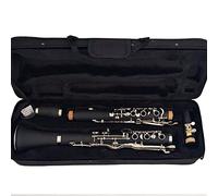 G Tune 20 Clarinetto Keys Addominali Resin Boy Material Nichel Plated Keys E9