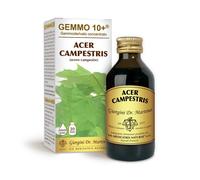 G10+ Acero Campestre Liquido Analcolico Dr. Giorgini 100ml