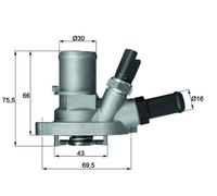 G101688 Termostato, refrigerante Mahle